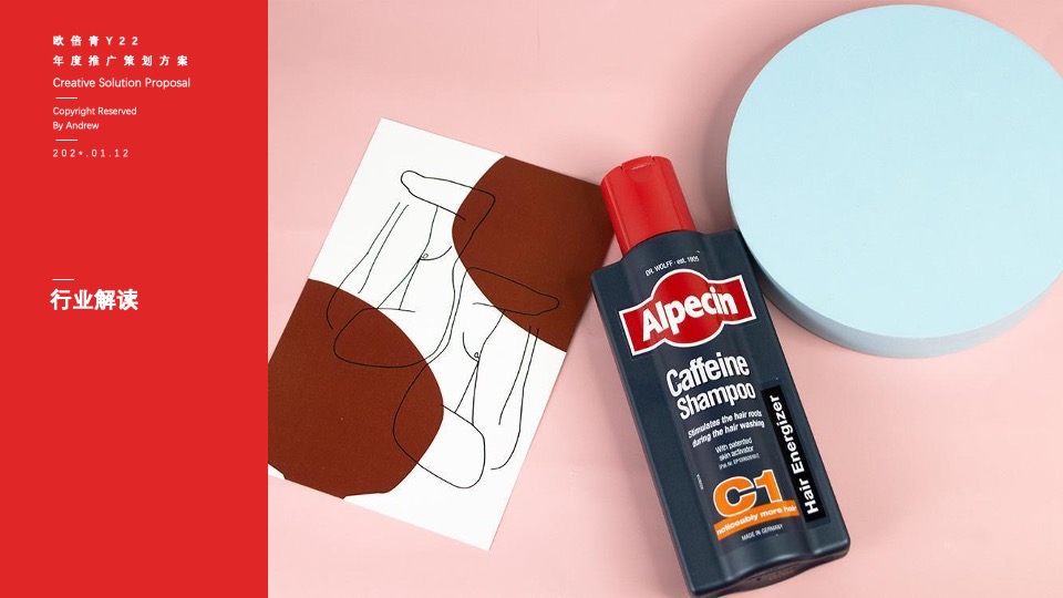 防脱洗护品牌年度传播推广策划方案
