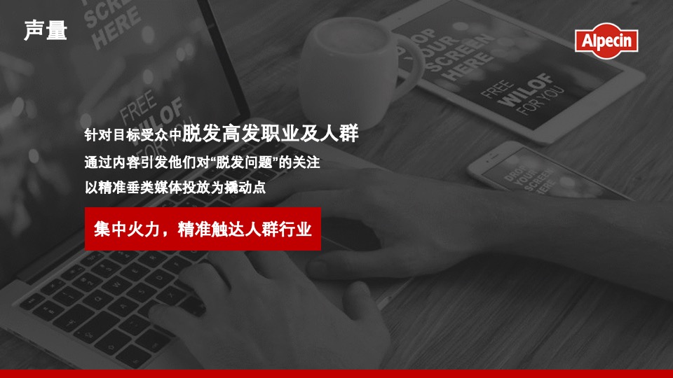 防脱洗护品牌年度传播推广策划方案