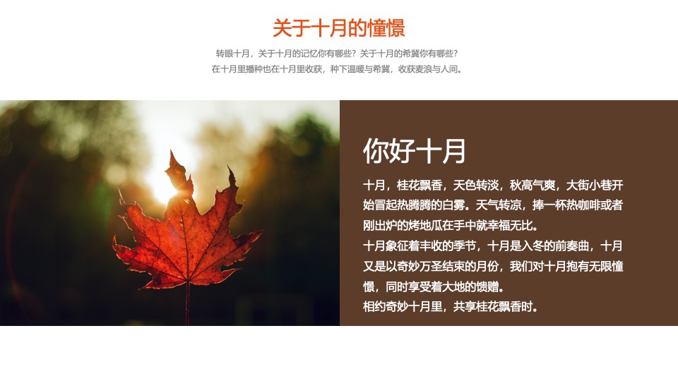 地产项目秋季10月月度暖场（金秋十月·寻觅秋季主题）活动策划方案