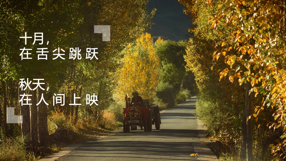 地产项目秋季10月月度暖场（金秋十月·寻觅秋季主题）活动策划方案