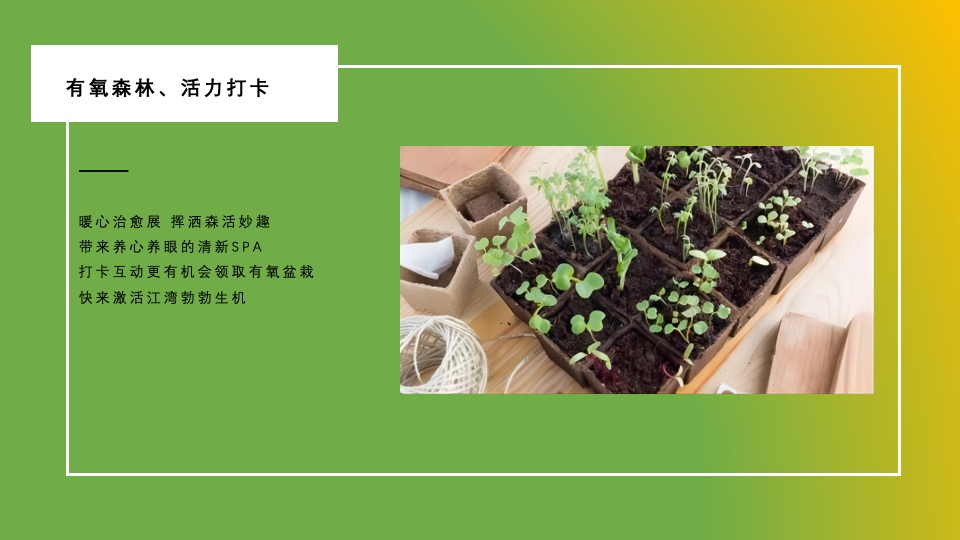 地产项目示范区开放暨氧气Live音乐节活动策划方案