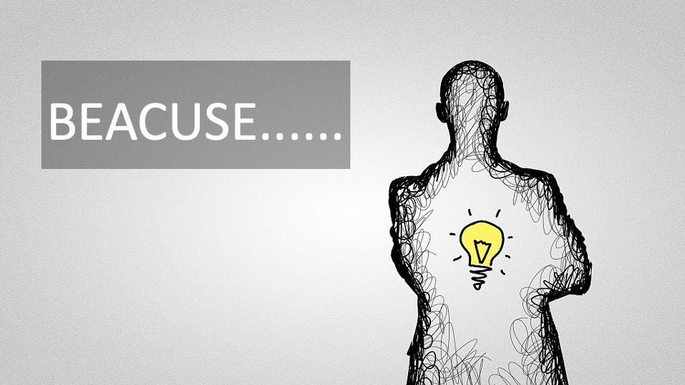 企业大型环保折纸艺术展暨品牌发布会活动策划方案