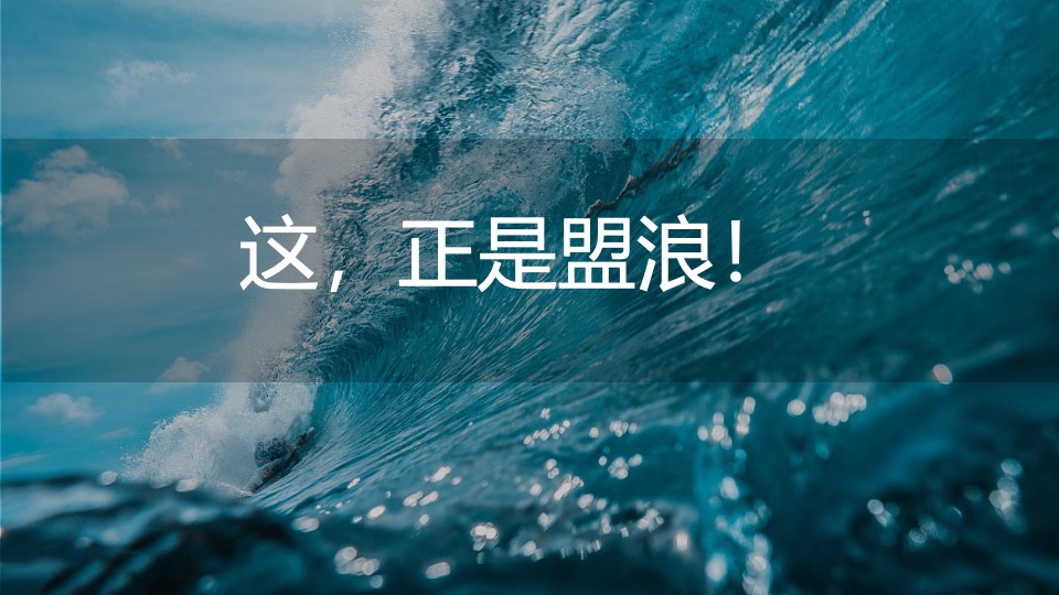 企业大型环保折纸艺术展暨品牌发布会活动策划方案