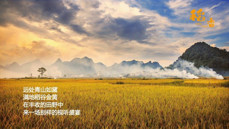 乡村稻田音乐节暨美食嘉年华（听见·稻香主题）活动策划方案
