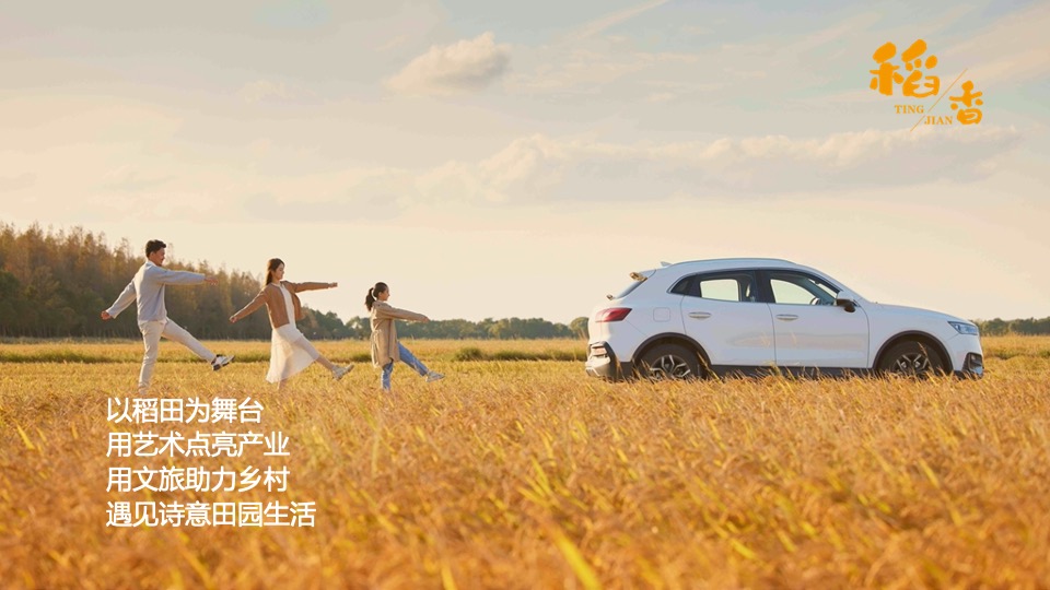 乡村稻田音乐节暨美食嘉年华（听见·稻香主题）活动策划方案