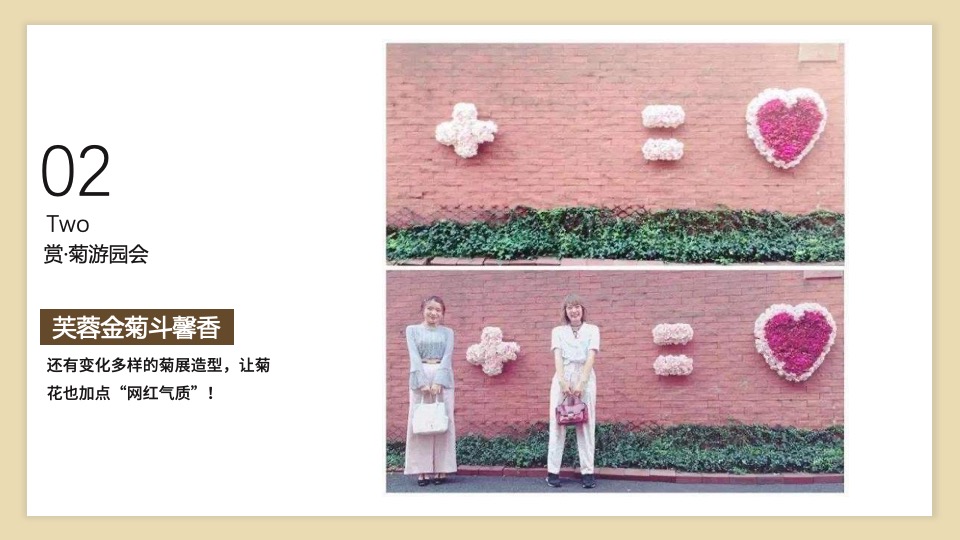 地产项目九九重阳节暖场系列（重阳赏菊主题）活动策划方案