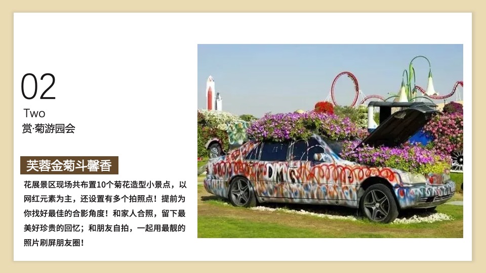 地产项目九九重阳节暖场系列（重阳赏菊主题）活动策划方案