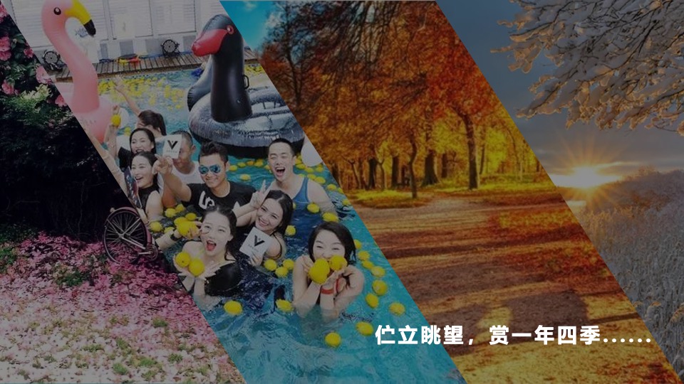 地产项目交付盛典（从此·悦赏人生四季主题）活动策划方案