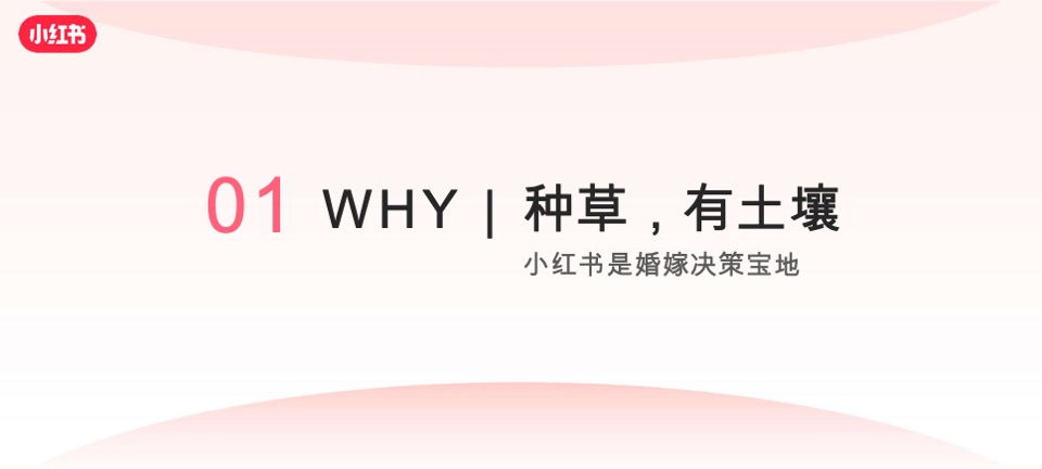 小红书「悦活计划」摄影旅拍行业种草生意经营销通案