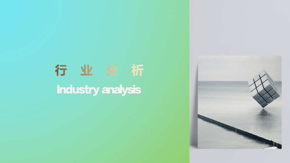 善存京东旗舰店营销方案-医药 保健品 电商 种草带货