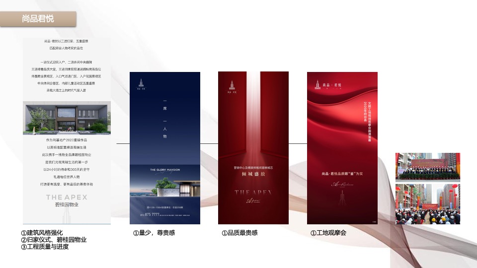 中南·东望府11月推广策划案#双11# #媒体行# #家电竞拍# #河景#