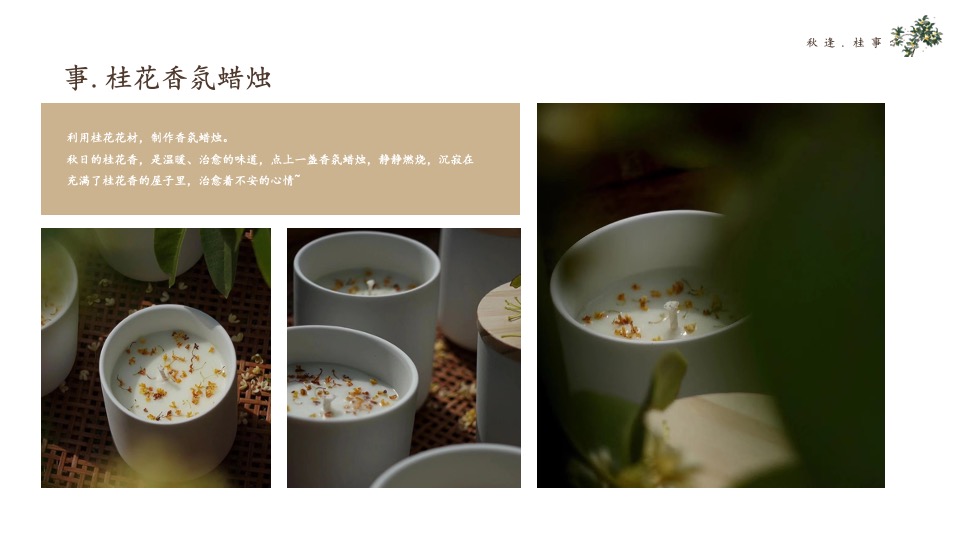 地产项目秋季桂花主题系列（秋逢·桂事主题）圈层活动策划方案