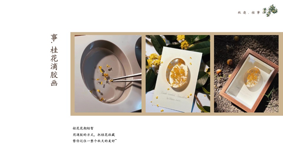 地产项目秋季桂花主题系列（秋逢·桂事主题）圈层活动策划方案