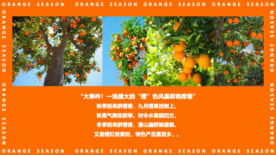 地产项目#橙心橙意·金秋答谢#主题活动策划案