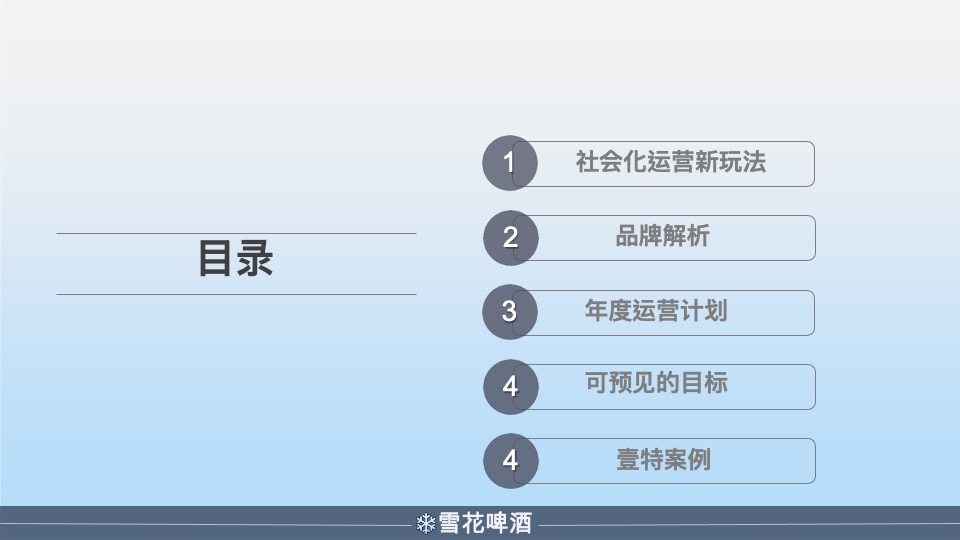 雪花啤酒年度营销策划方案