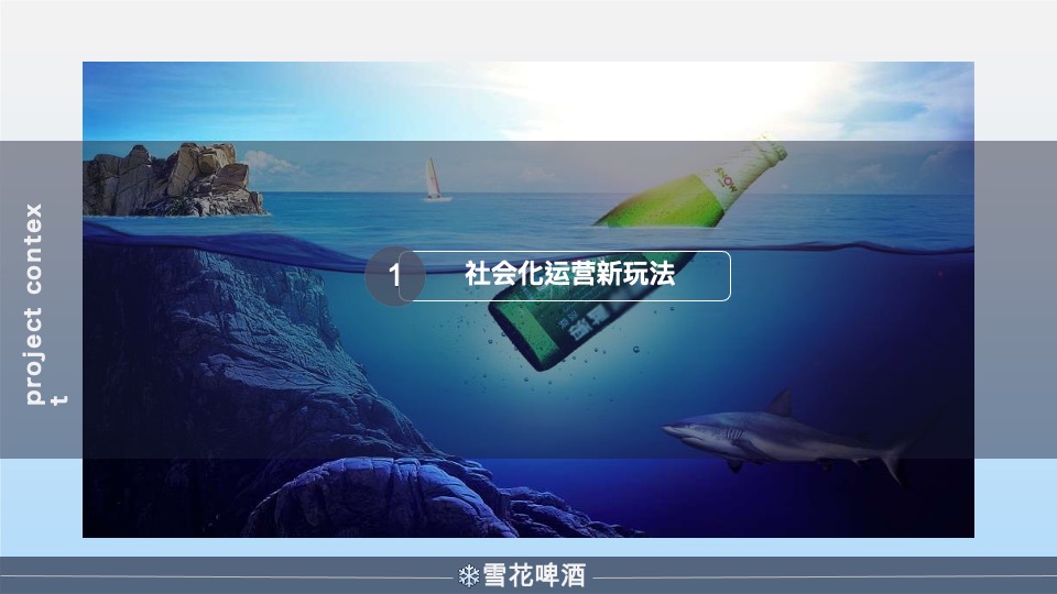 雪花啤酒年度营销策划方案