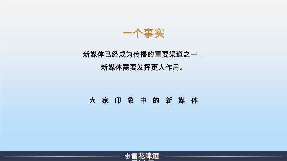 雪花啤酒年度营销策划方案