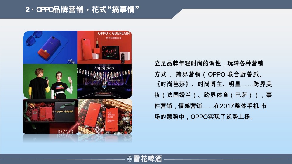 雪花啤酒年度营销策划方案