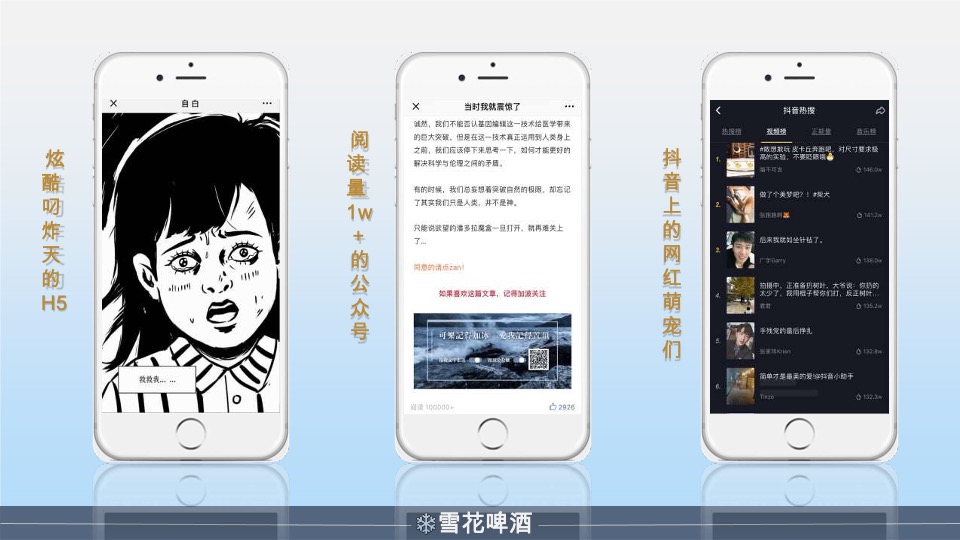 雪花啤酒年度营销策划方案