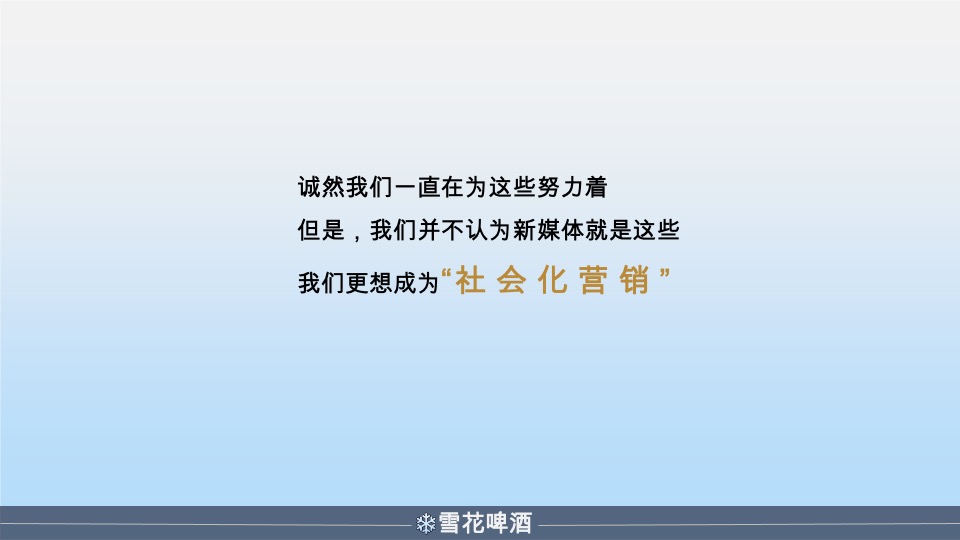 雪花啤酒年度营销策划方案
