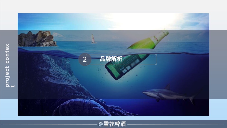 雪花啤酒年度营销策划方案