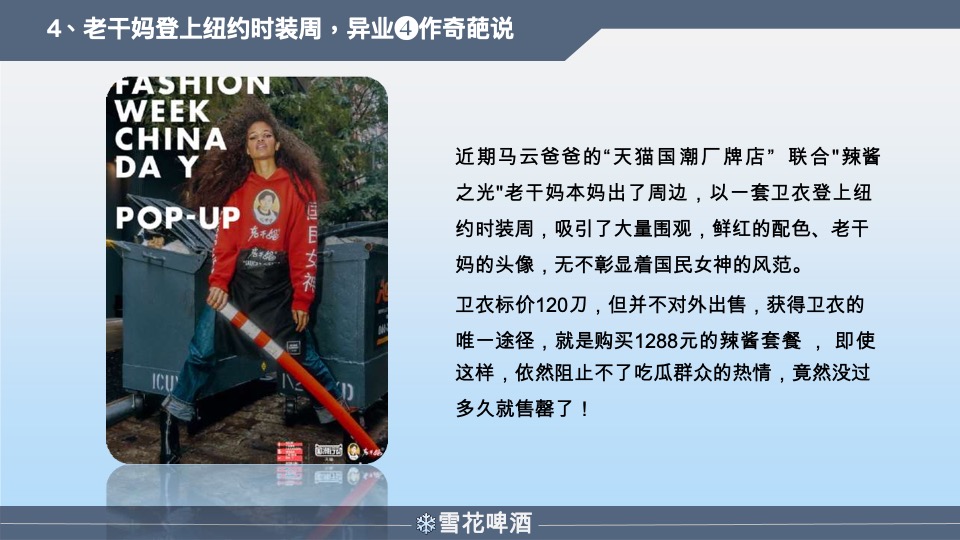 雪花啤酒年度营销策划方案