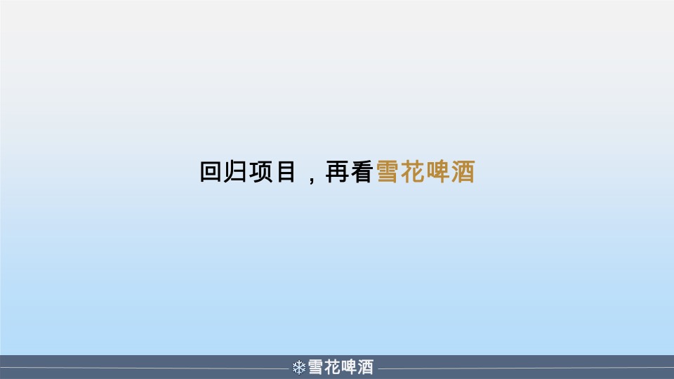 雪花啤酒年度营销策划方案