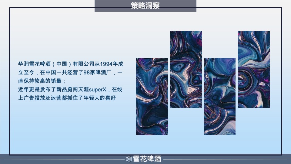 雪花啤酒年度营销策划方案