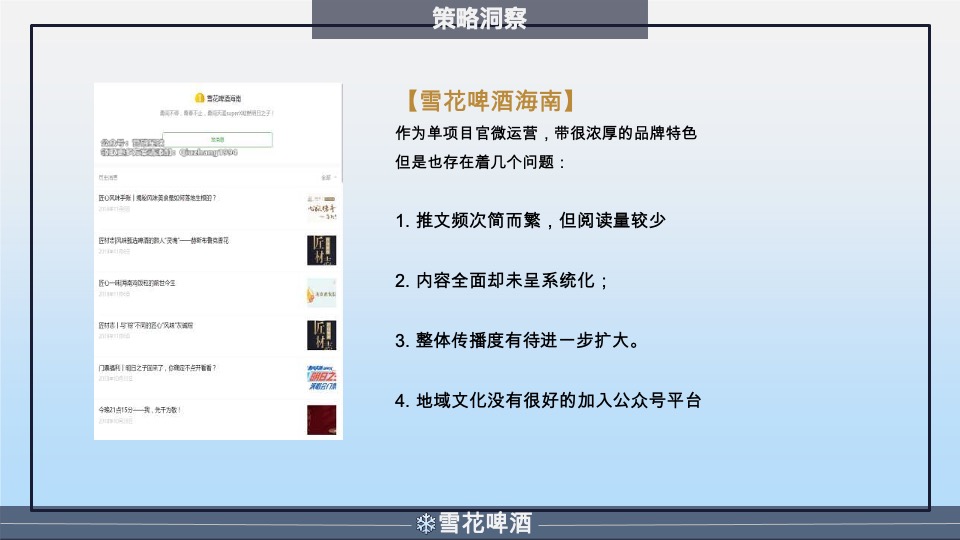 雪花啤酒年度营销策划方案