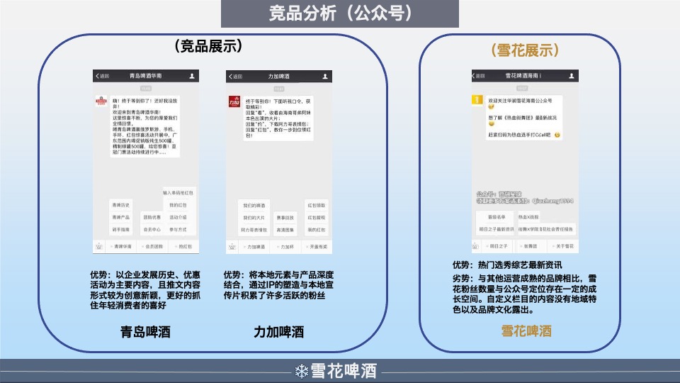 雪花啤酒年度营销策划方案
