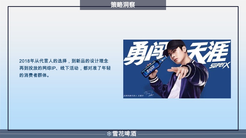 雪花啤酒年度营销策划方案