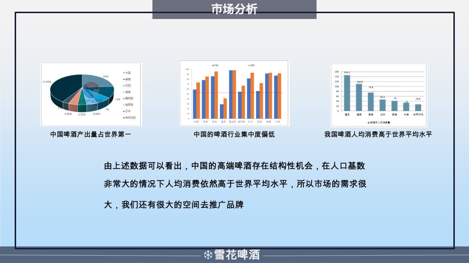 雪花啤酒年度营销策划方案