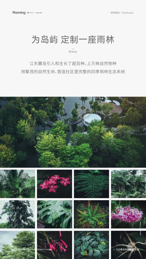 国际社区 江东麓岛价值手册 #海南#