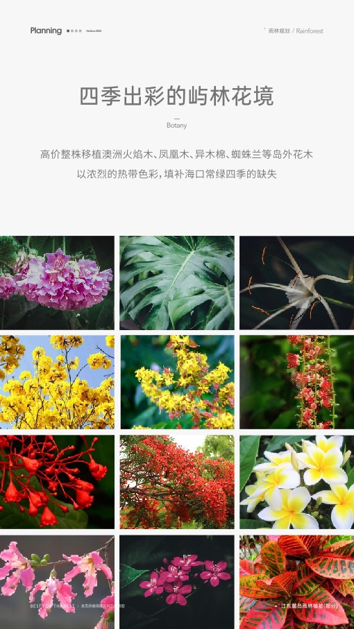 国际社区 江东麓岛价值手册 #海南#