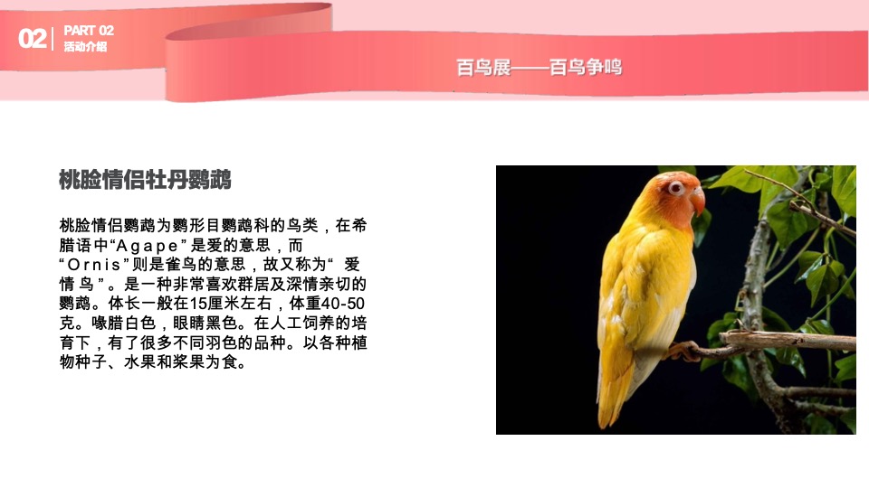 购物中心圣诞及跨年动物主题展示方案