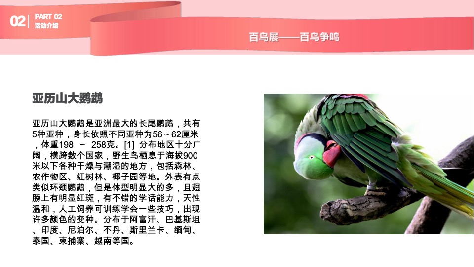 购物中心圣诞及跨年动物主题展示方案