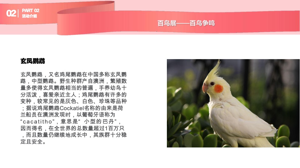 购物中心圣诞及跨年动物主题展示方案