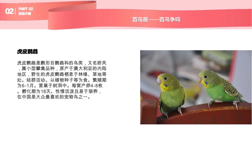 购物中心圣诞及跨年动物主题展示方案