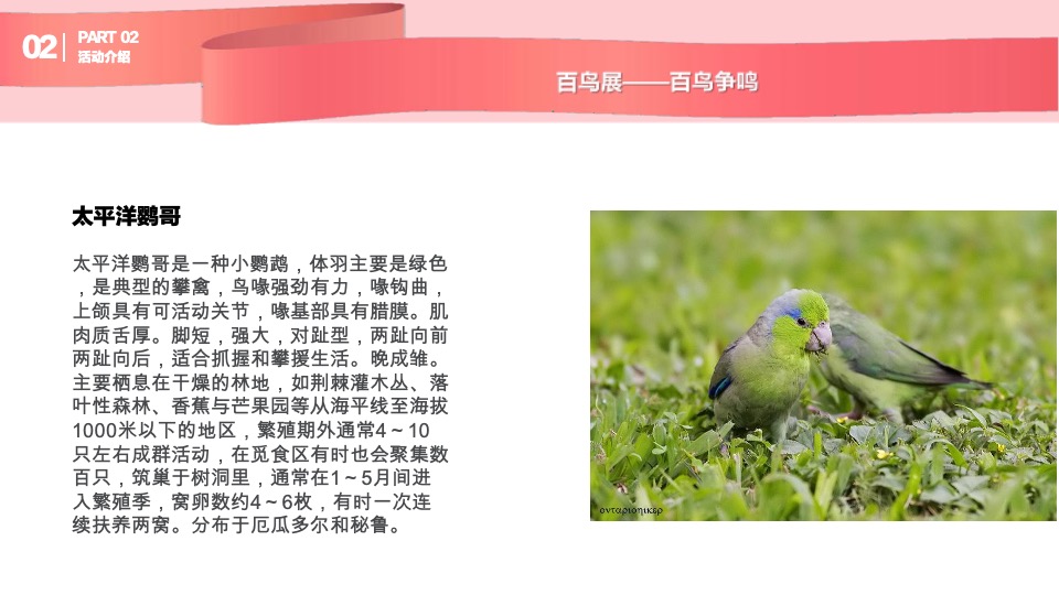 购物中心圣诞及跨年动物主题展示方案