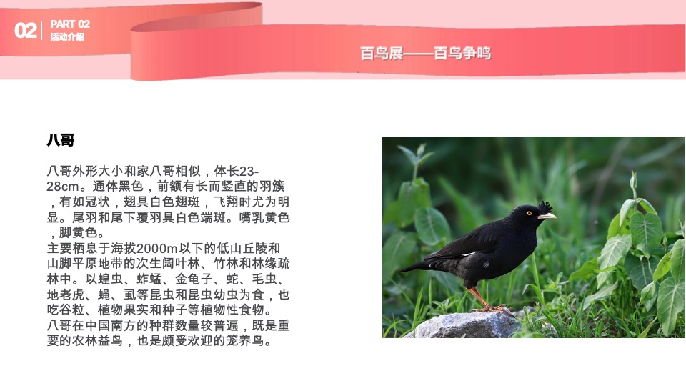 购物中心圣诞及跨年动物主题展示方案