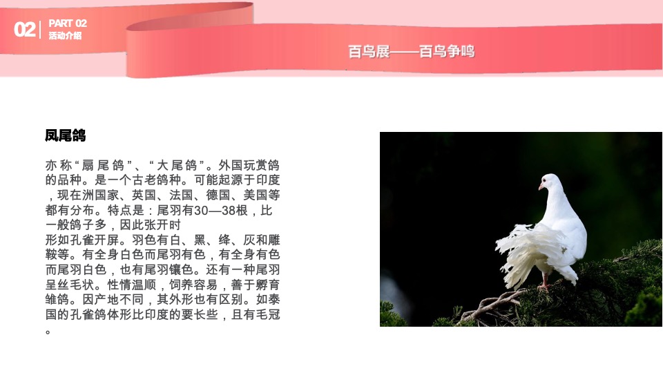 购物中心圣诞及跨年动物主题展示方案