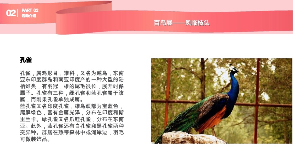 购物中心圣诞及跨年动物主题展示方案