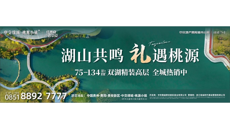 中交绿城桃源小镇12-1月推广策划案 #湖山# #康养# #高层#