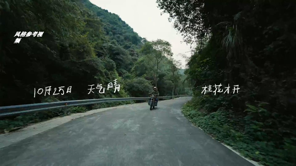 商业广场7周年庆系列（圆模圆YOUNG动物主题）活动策划方案