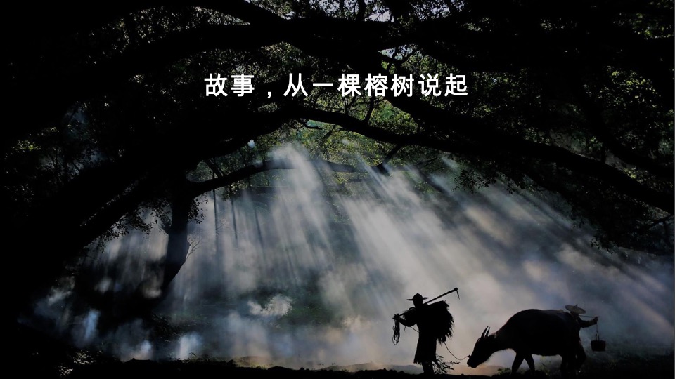 福州侨乡历史文化商业街推广中标案