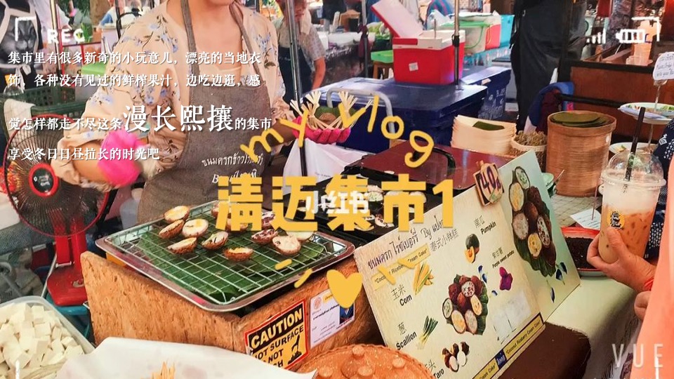 商业广场元旦泰式椰林集市（来#迈#鸭主题）活动策划方案