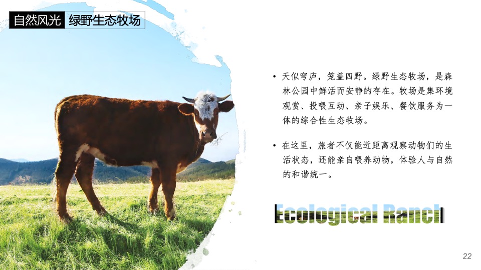 文旅景区旅游资源推介方案