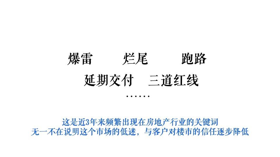 诚景置地年度品牌推广案