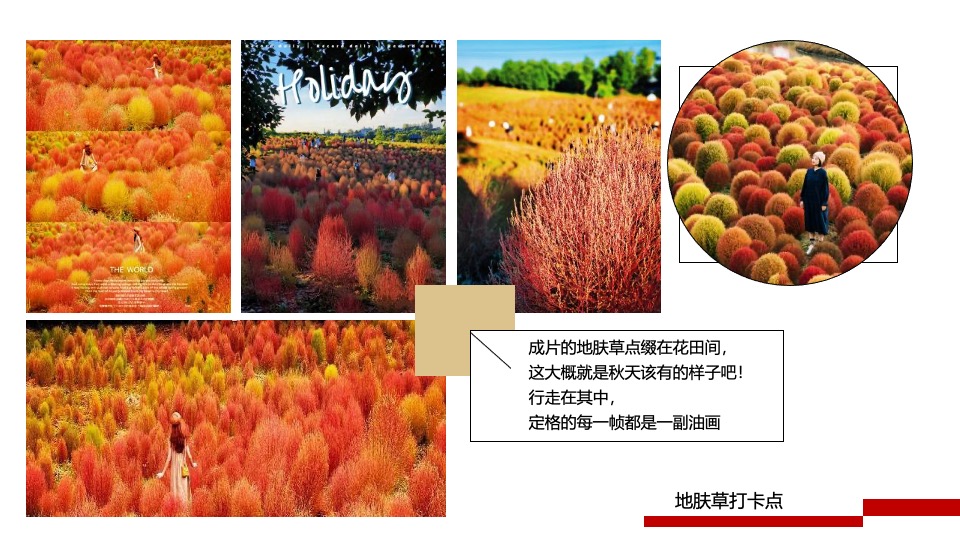 地产项目秋季创意市集（花田喜市主题）活动策划方案