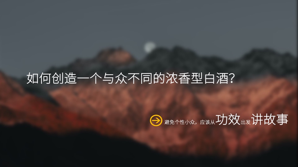 白酒品牌百味谭SOCIAL品牌传播方案